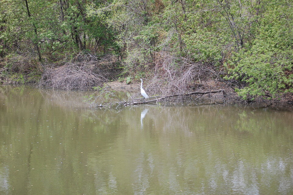 DSC 0109
