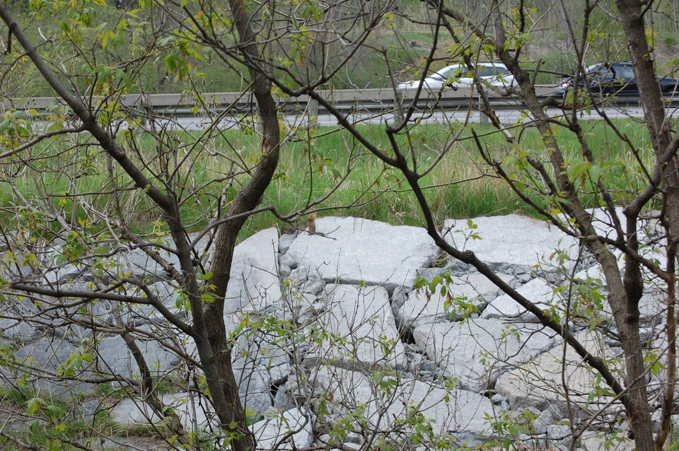 DSC 0141