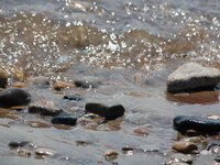 DSC 0105