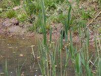 DSC 0120