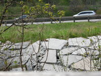 DSC 0137
