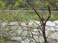 DSC 0140