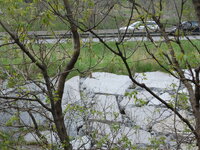 DSC 0141