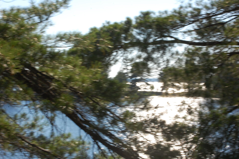 DSC 10096