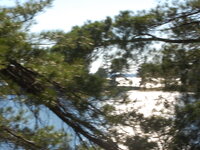 DSC 10096