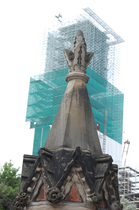 DSC 10169