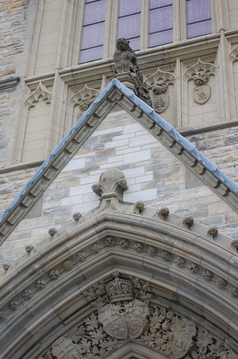 DSC 10183