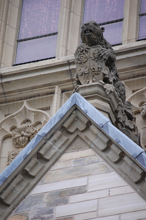 DSC 10184