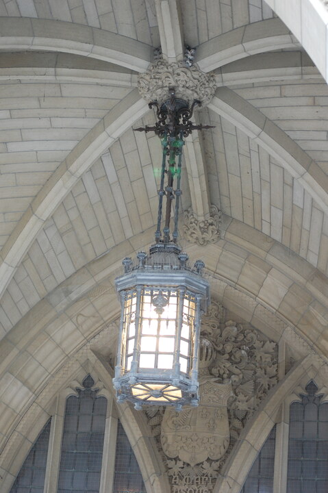 DSC 10190