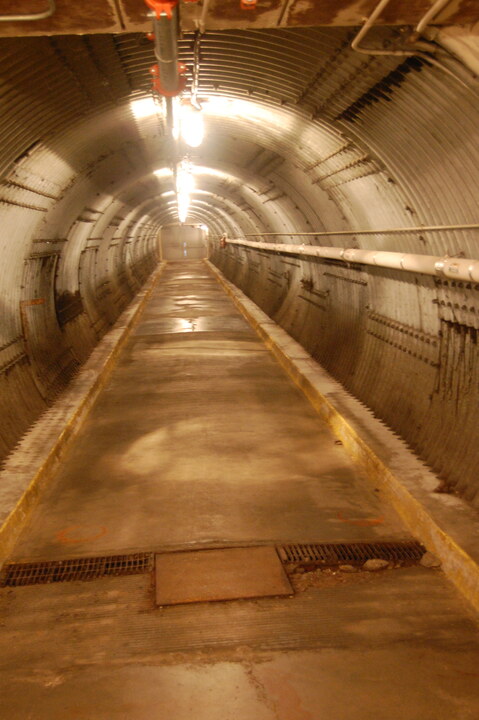 DSC 10377