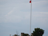 DSC 10181