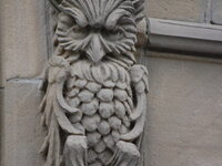 DSC 10188