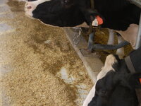 DSC 10335