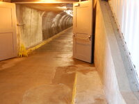 DSC 10366