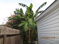 IMG 0038