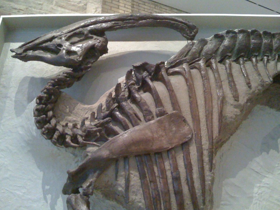PH 0050