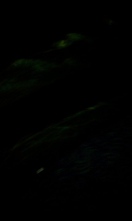 PH 2011