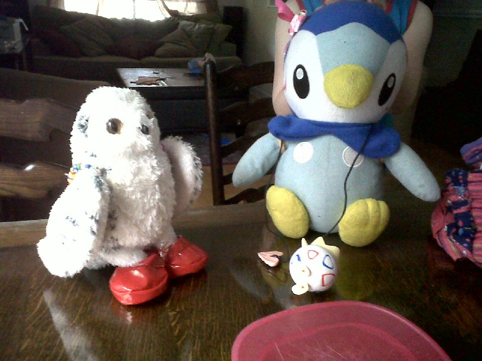 PICT 0053