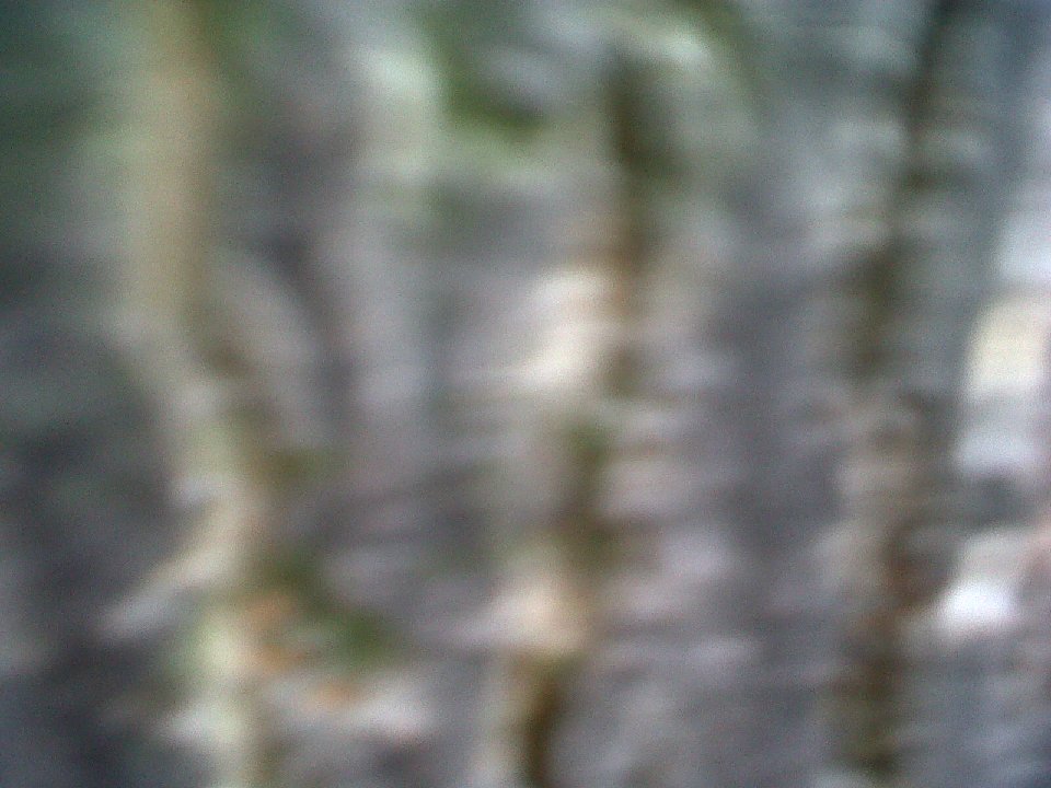 PICT 0264