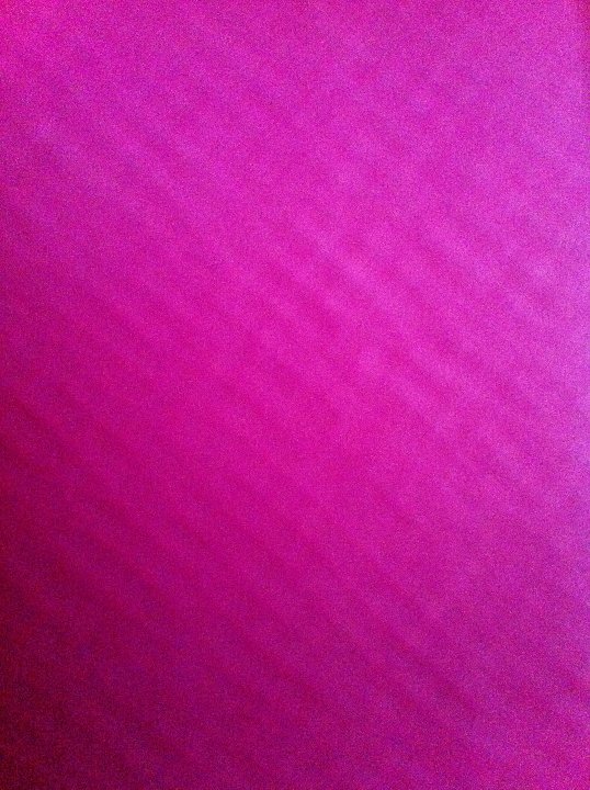 PICT 0302