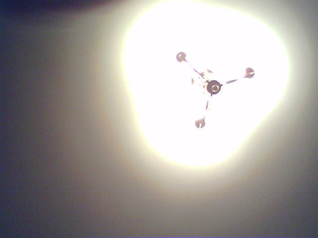 IMG 0024