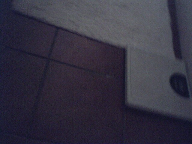 IMG 0039