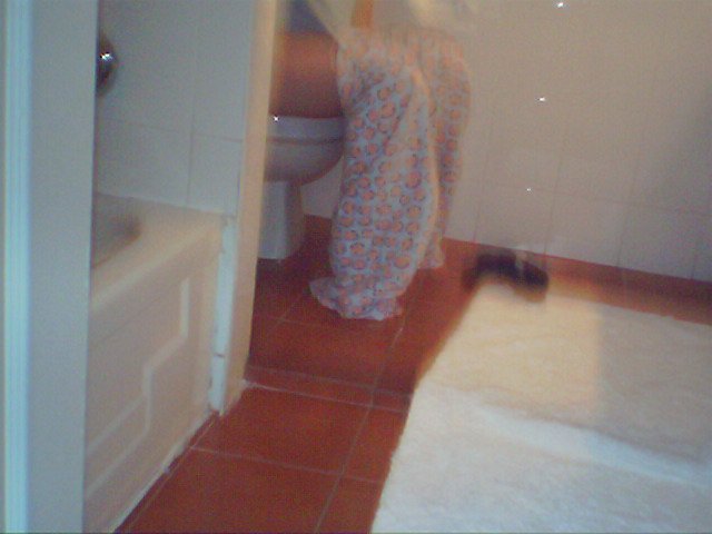 IMG 0040